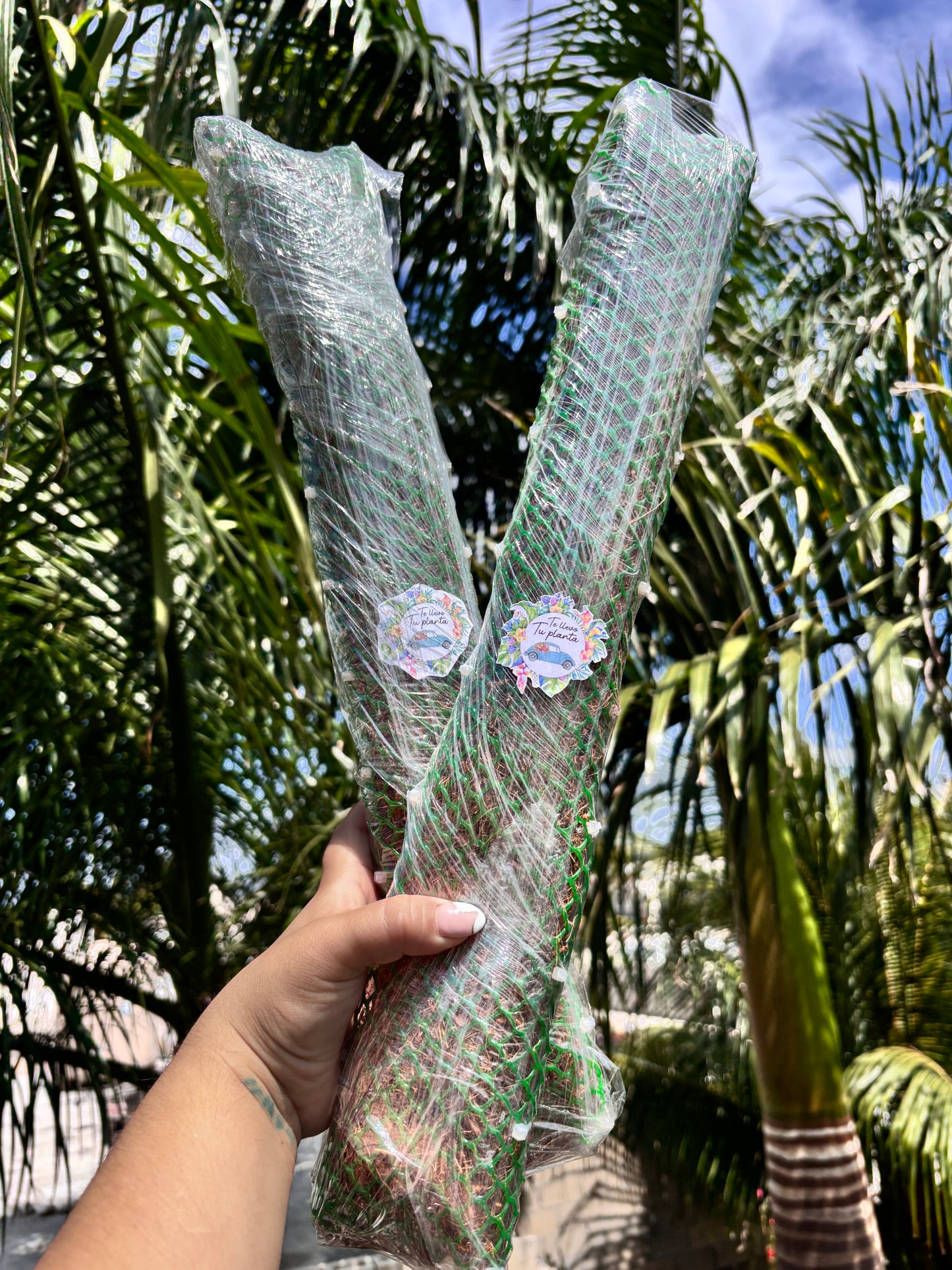 Tutores para Plantas