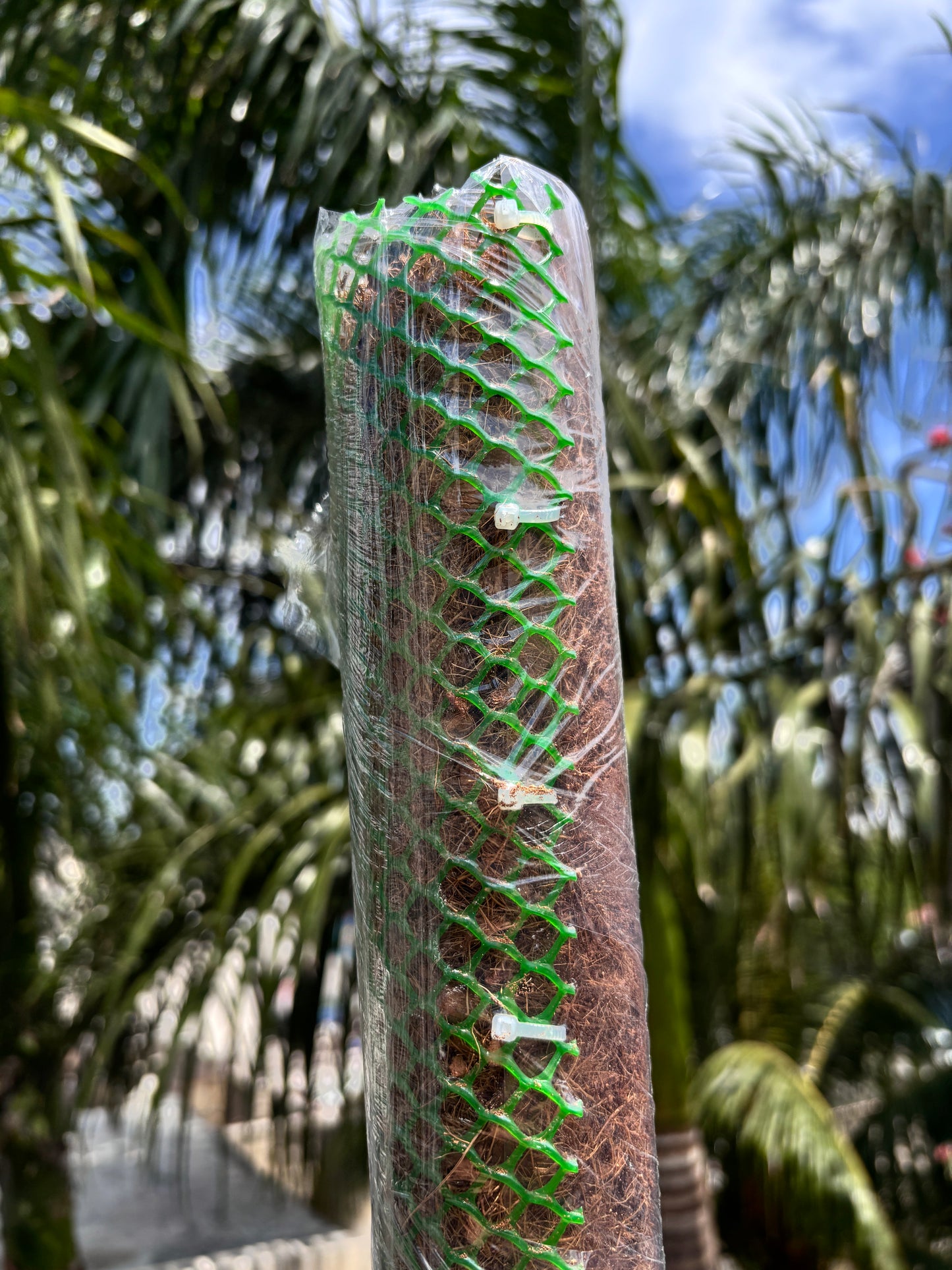 Tutores para Plantas