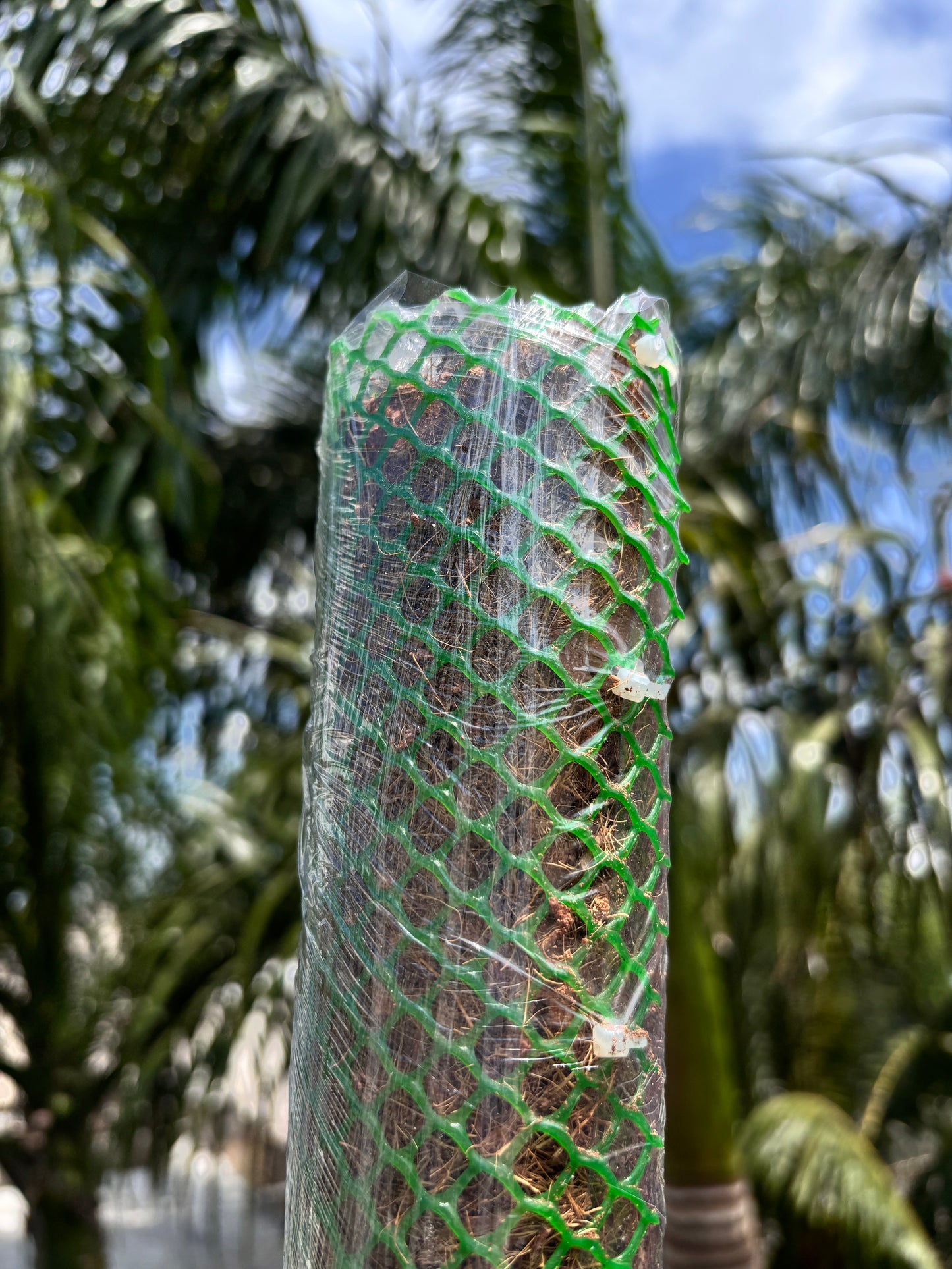 Tutores para Plantas