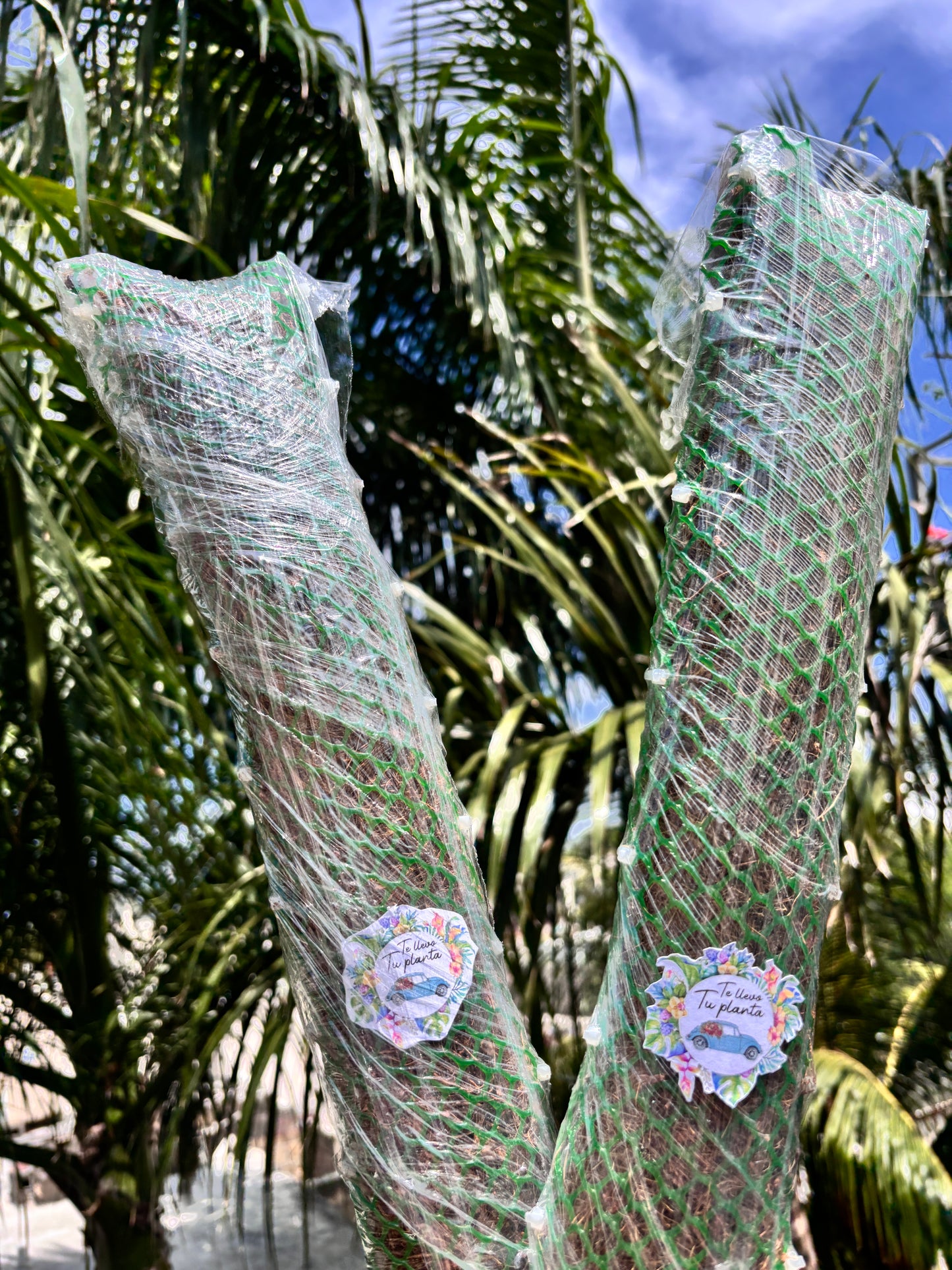 Tutores para Plantas