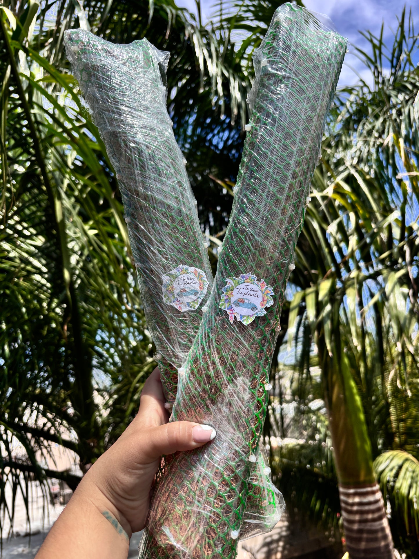 Tutores para Plantas