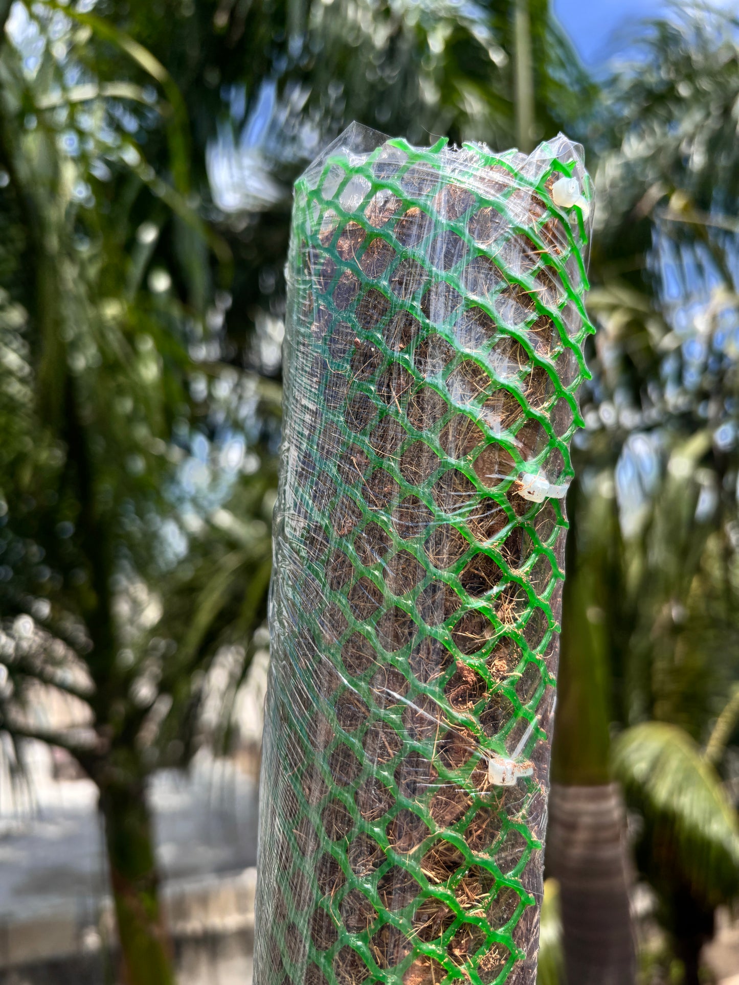 Tutores para Plantas