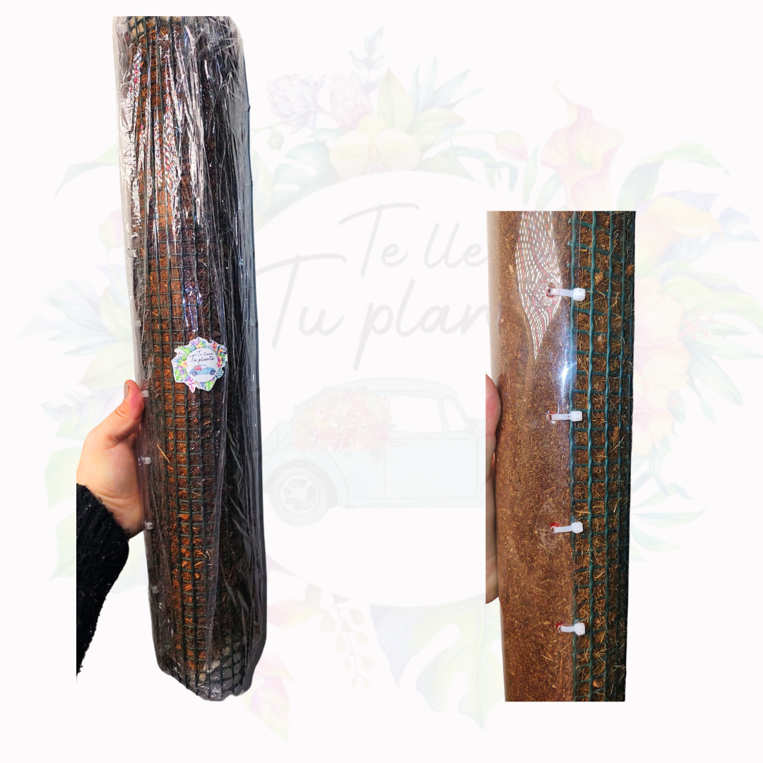 Tutores para Plantas