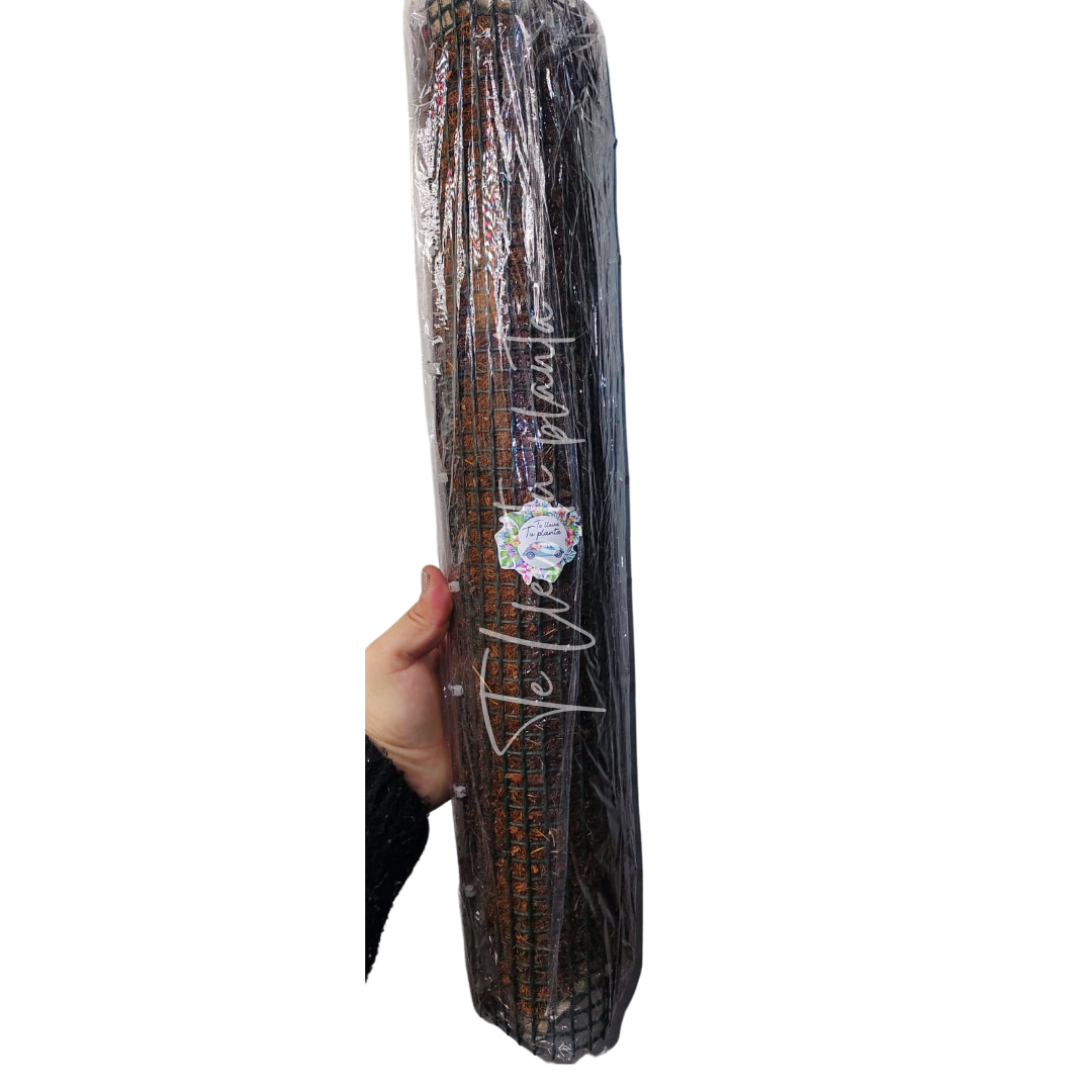 Tutores para Plantas