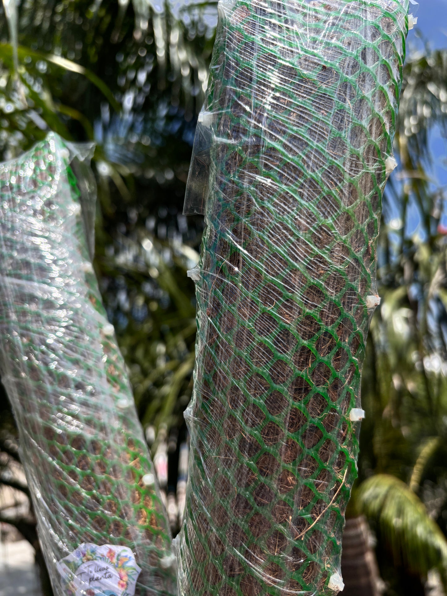 Tutores para Plantas