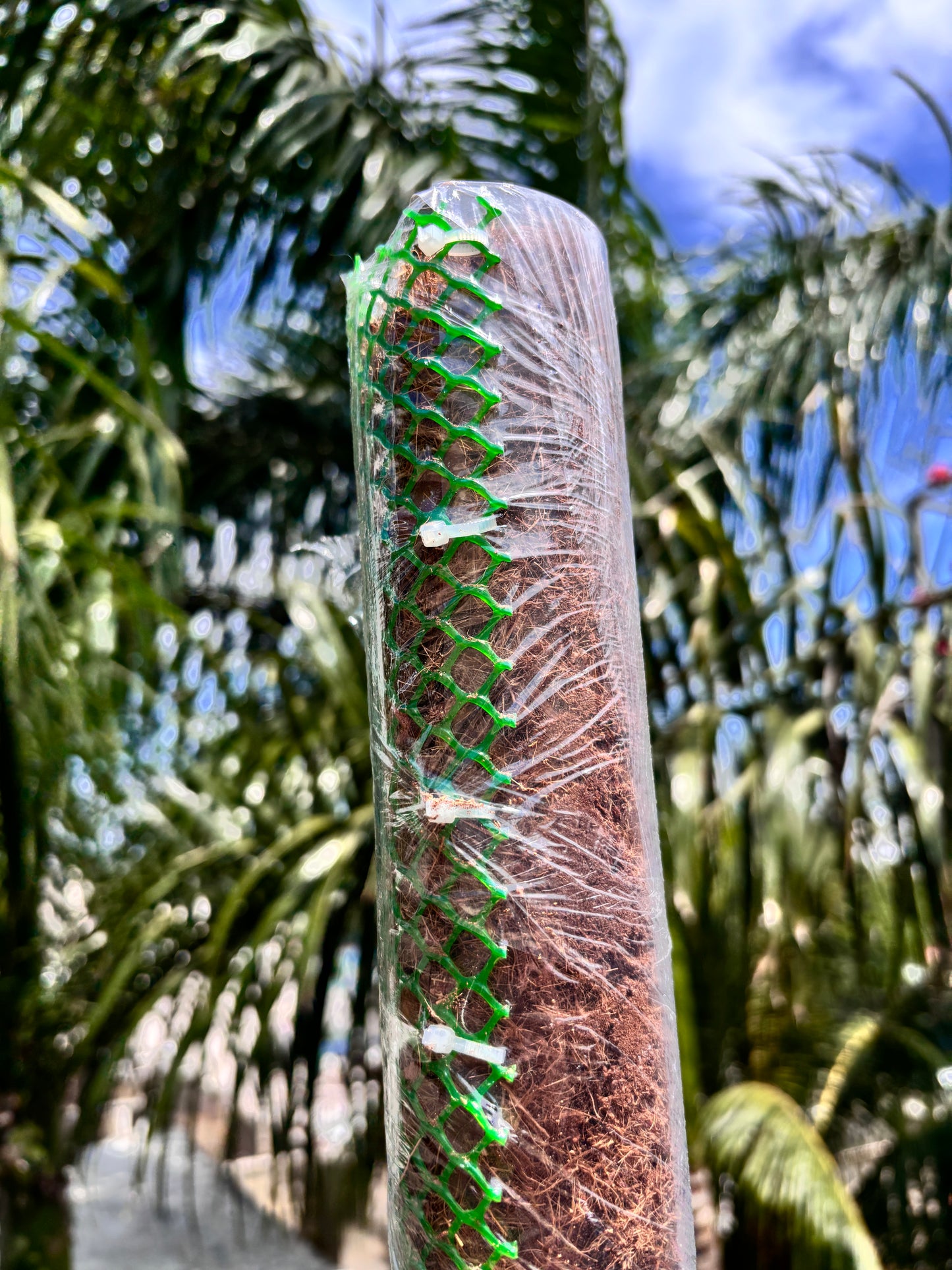 Tutores para Plantas